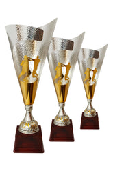 CTS 350 | SET de 3 Cupe Sportive